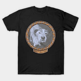 17 Year Old Dog (frame copper silver celtic rope) T-Shirt